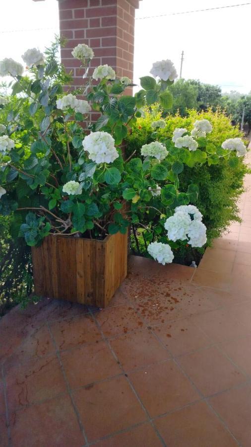 Villetta Giardino Degli Ulivi Ortona Extérieur photo